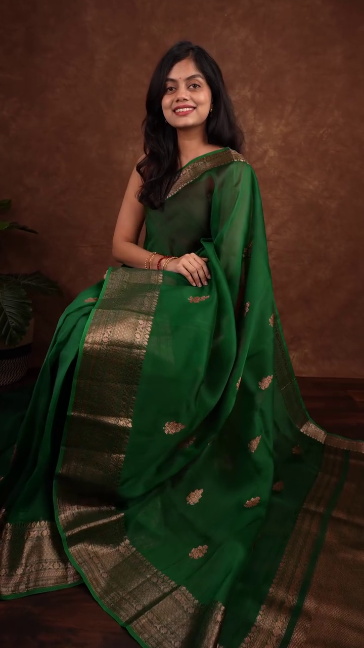 Sheer Green Silk Saree