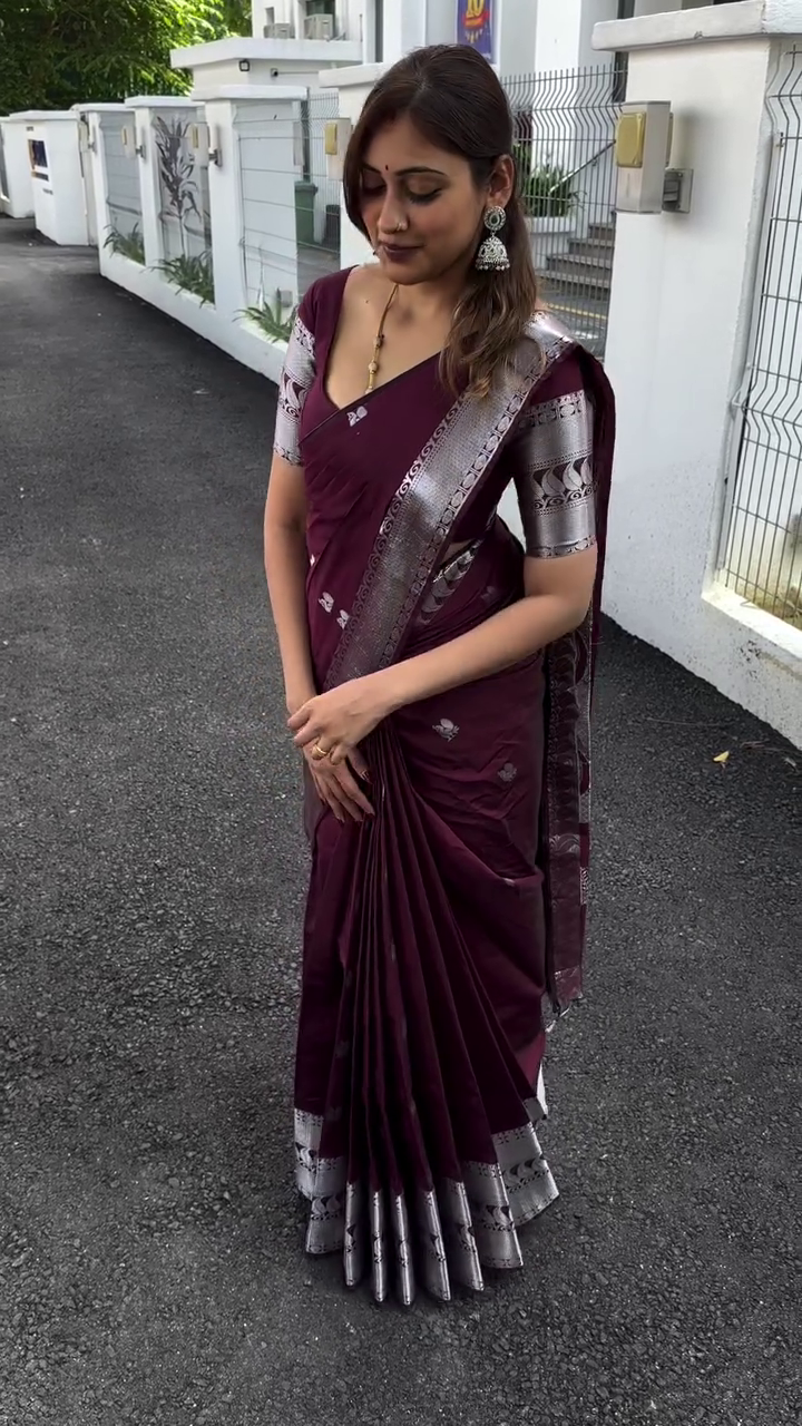 Silver Drape Silk Saree