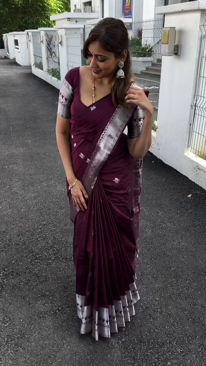 Silver Drape Silk Saree