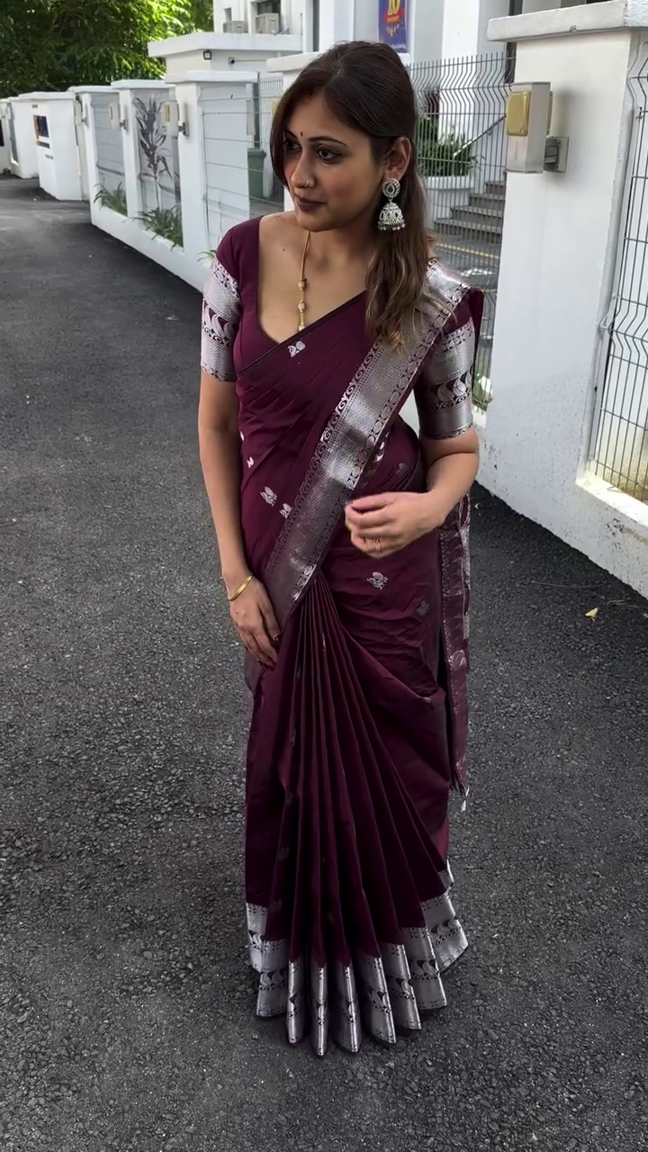 Silver Drape Silk Saree