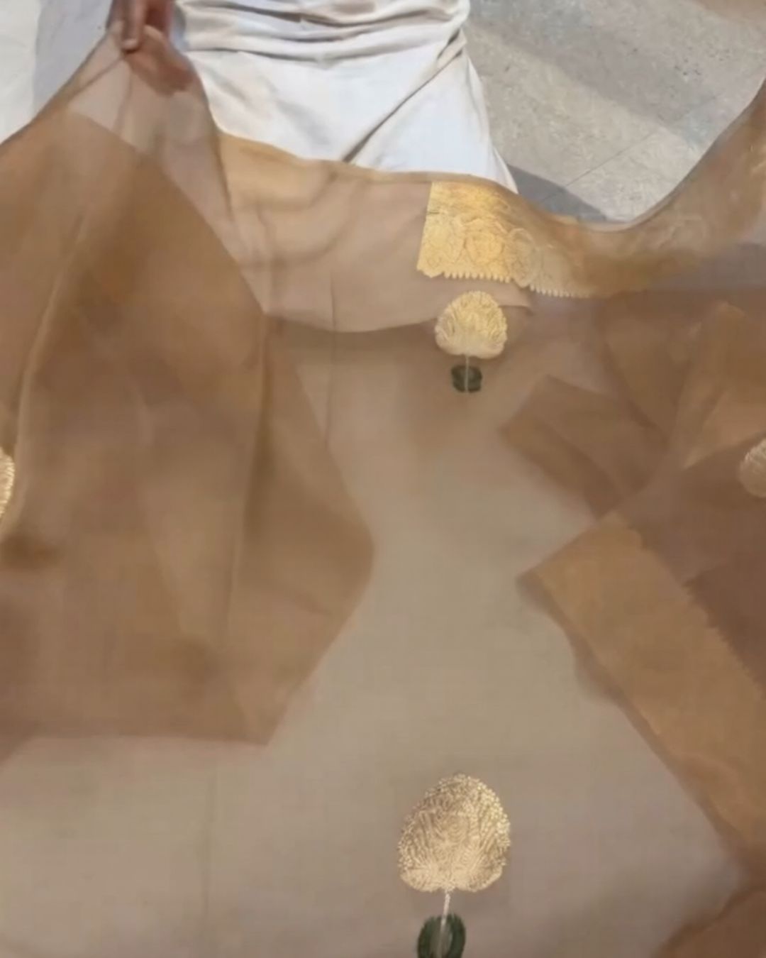 Beige-Gold Silk Saree