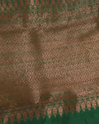 Borderless Raw Silk Saree